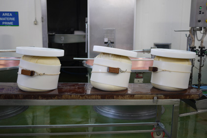visit producteur parmesan