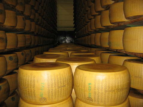 parmigiano tour from Bologna