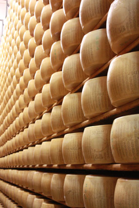 parmesan cheese tour in Parma