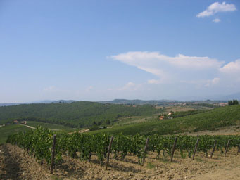 wine and food tours in tuscany