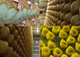 foodie tour in Modena