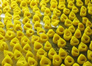 gourmet food tour italy - tortellini making classes