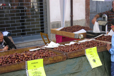 chestnuts festival Modena