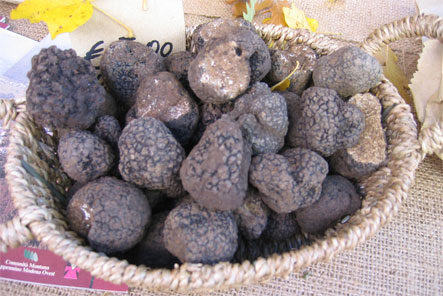 truffle festival in Emilia Romagna